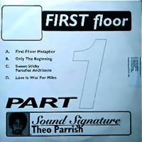 Parrish Theo - First Floor Pt.1 i gruppen VINYL hos Bengans Skivbutik AB (2366400)