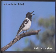 Taylor Hollis - Absolute Bird i gruppen CD hos Bengans Skivbutik AB (2491920)