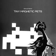 Tiny Magnetic Pets - Deluxe / Debris i gruppen VINYL hos Bengans Skivbutik AB (2538908)