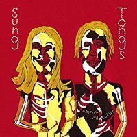 ANIMAL COLLECTIVE - SUNG TONGS