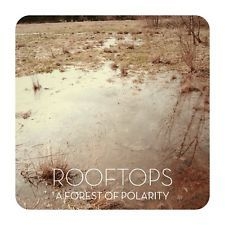 Rooftops - A Forest Of Polaris i gruppen VINYL hos Bengans Skivbutik AB (2549069)