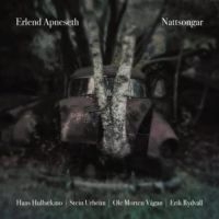 Apneseth Erlend - Nattsongar