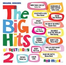 Various Artists - Big Hits Of Yesterday Volume 2 i gruppen CD hos Bengans Skivbutik AB (3034727)