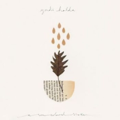 Yndi Halda - A Sun Coloured Shaker