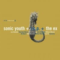 Sonic Youth + The Ex+Icp - In The Fishtank