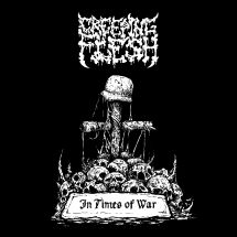 Creeping Flesh - In Times Of War i gruppen CD hos Bengans Skivbutik AB (3225046)