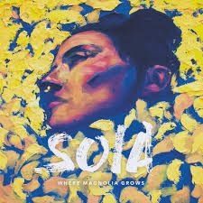 Soia - Where Magnolia Grows i gruppen VINYL hos Bengans Skivbutik AB (3494271)