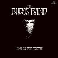 Budos Band The - Long In The Tooth