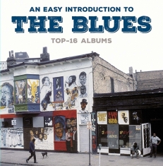 Various - Easy Introduction To The Blues