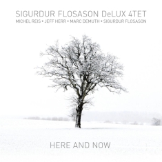 Sigurdur -Delux 4Tet- Flosason - Here And Now