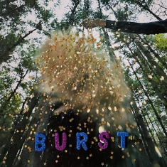 Snarls - Burst