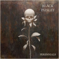 Black Paisley - Perennials