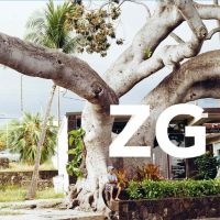 Zg - Zg