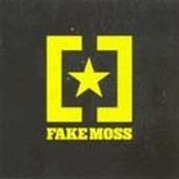 Fake Moss - Shes Smashing The Room Again i gruppen CD hos Bengans Skivbutik AB (516816)