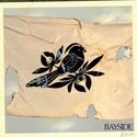 Bayside - Walking Wounded i gruppen VI TIPSER / Julegavetips CD hos Bengans Skivbutik AB (530038)