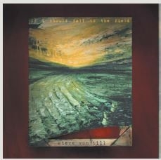 Von Till Steve - If I Should Fall To The Field i gruppen CD hos Bengans Skivbutik AB (533631)