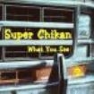 Super Chikan - What You See i gruppen CD / Rock hos Bengans Skivbutik AB (544193)