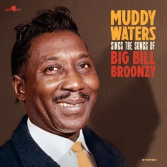 Waters Muddy - Sings Big Bill