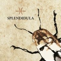 Splendidula - Splendidula