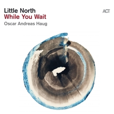 Little North - While You Wait