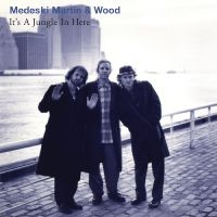 Medeski Martin & Wood - It's A Jungle In Here