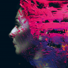 Wilson Steven - Split Seams/Vikt Hörn Hand.Cannot.Erase