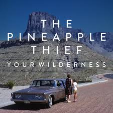 The Pineapple Thief - Split Seams/Vikt Hörn Your Wilderness