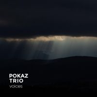 Pokaz Trio - Voices