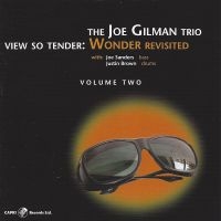 Joe Gilman - View So Tender: Wonder Revisited Vo