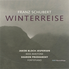 Franz Schubert - Winterreise