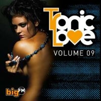 Blandade Artister - Big Fm Tronic Love 9