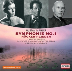 Mahler - Symphony No 1