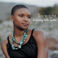 Wright Lizz - Dreaming Wide Awake i gruppen CD / Jazz/Blues hos Bengans Skivbutik AB (582697)