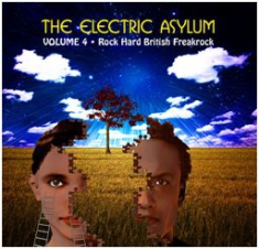 Various Artists - Electric Asylum Vol 4 i gruppen CD hos Bengans Skivbutik AB (603424)