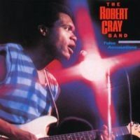 Robert Cray - False Accusations i gruppen CD / Pop hos Bengans Skivbutik AB (614698)