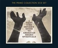 Various Artists - First Time Buyer's Guide To America i gruppen CD / RNB, Disco & Soul hos Bengans Skivbutik AB (639052)