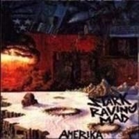 Stark Raving Mad - America i gruppen VI TIPSER / Julegavetips CD hos Bengans Skivbutik AB (663705)