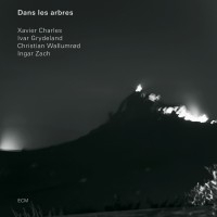 Dans Les Arbres - Dans Les Arbres